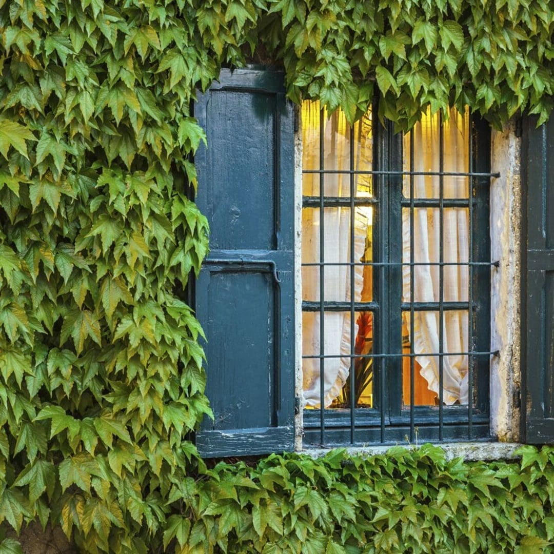 Comment faire un mur végétal aritificiel ? Garan Cedore Magazine — free download