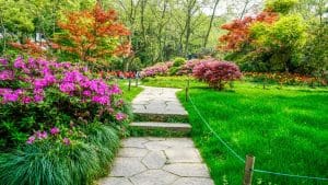 jardin